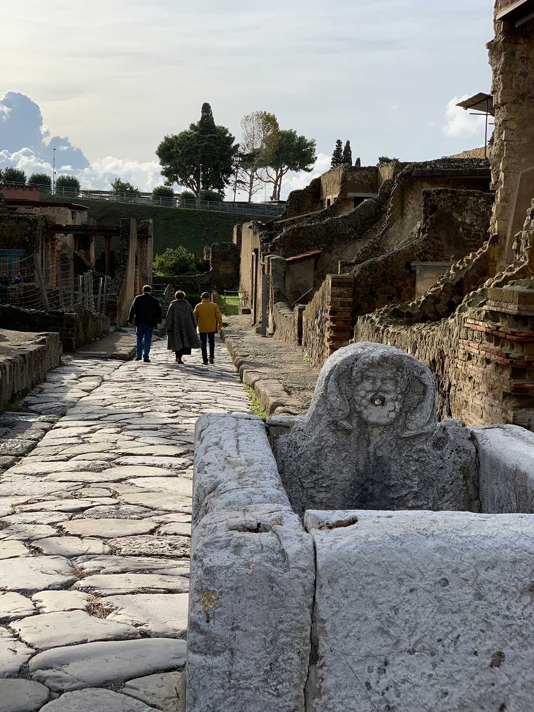 Herculaneum VIP: Guied Tour with your Archaeologist