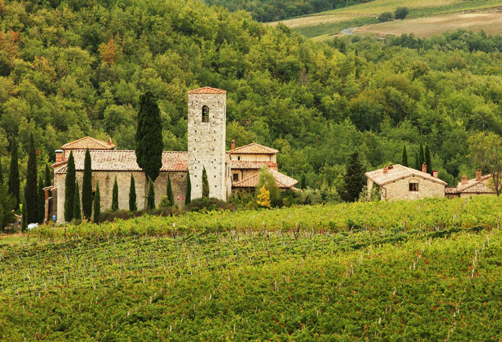 Day Trip to Chianti: Wine Tasting in the Countryside